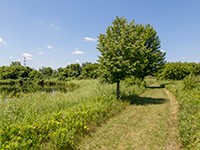 Elkhorn Walking Path